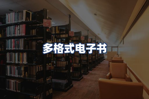 多格式电子书